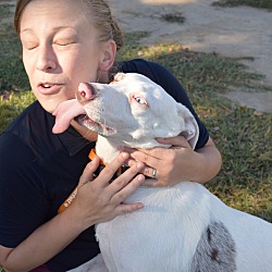 Thumbnail photo of Casper *Adoption Pending* #3