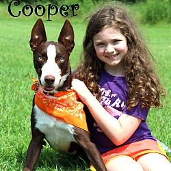 Thumbnail photo of Cooper~meet me! #2