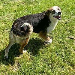 Thumbnail photo of Macey of Randolph #3