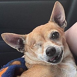Photo of Edith