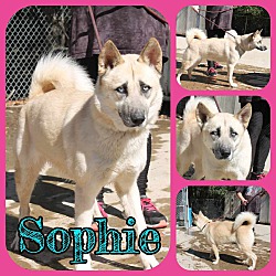 Photo of Sophie