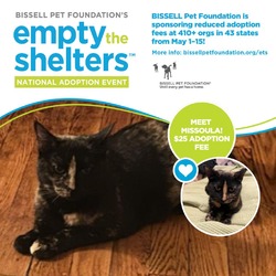 Thumbnail photo of Missoula- $25 Bissell Sponsored Adoption Fee! #1