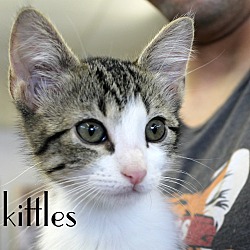 Thumbnail photo of Skittles #2
