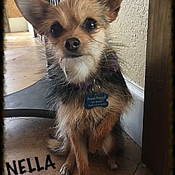 Photo of Nella