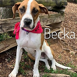 Photo of Becka