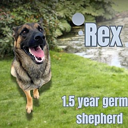 Thumbnail photo of Rex #1