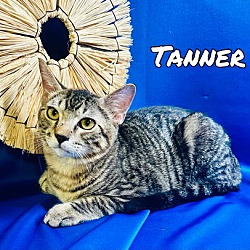 Thumbnail photo of Tanner #1