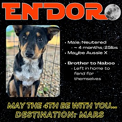 Photo of Endor