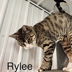 Thumbnail photo of Rylee #1