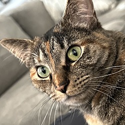 Photo of Miko