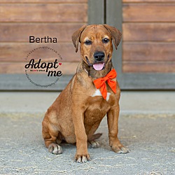 Thumbnail photo of Bertha #3