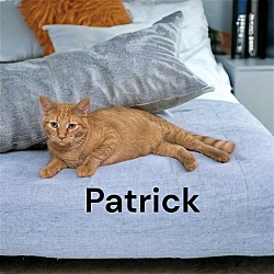 Thumbnail photo of Patrick #3