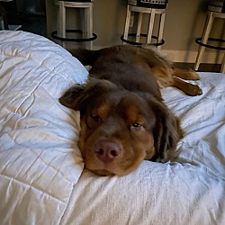 Photo of Kizer