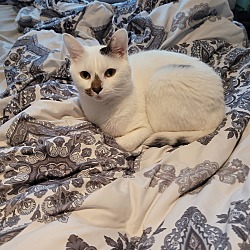 Photo of Sammy 