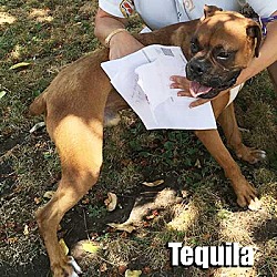 Thumbnail photo of Tequila #2