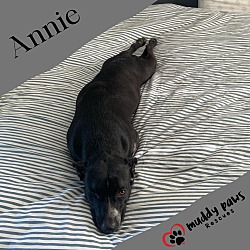 Thumbnail photo of Annie (Courtesy Post)) #4