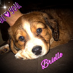 Thumbnail photo of Briellle #3