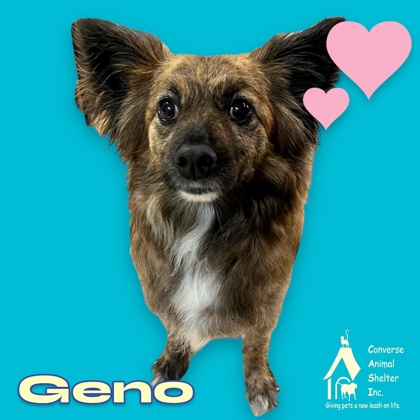 Photo of GENO (was Marlo)
