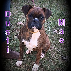 Thumbnail photo of Dusti Mae #1