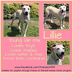 Photo of Lillie