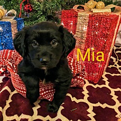 Photo of Mia
