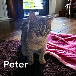 Thumbnail photo of Peter #2