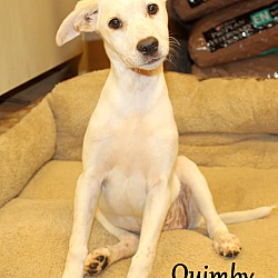 Thumbnail photo of Quimby ~ meet me! #3
