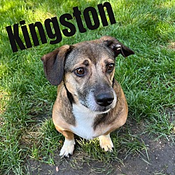 Photo of Kingston