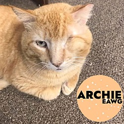 Thumbnail photo of Archie #1