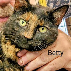 Thumbnail photo of Betty #1