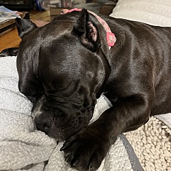 Photo of Josey