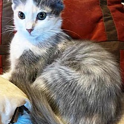 Photo of Little Bit