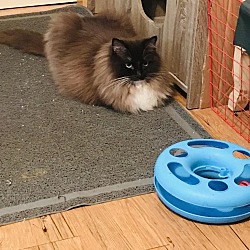 Photo of Heidi