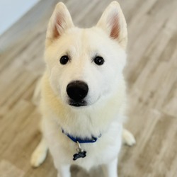 Photo of Ghost