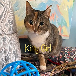 Photo of Kitty Girl