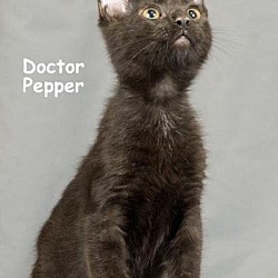 Photo of Dr Pepper
