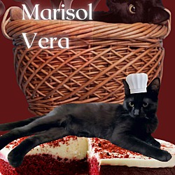 Thumbnail photo of MARISOL VERA #2