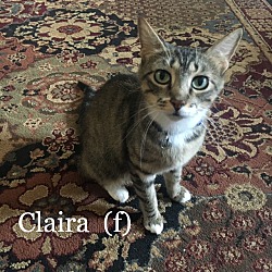 Photo of Claira