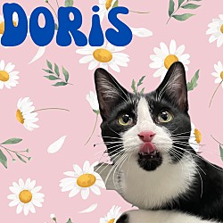 Thumbnail photo of Doris #1