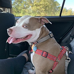 Photo of Maggie