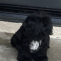 Photo of Zoe