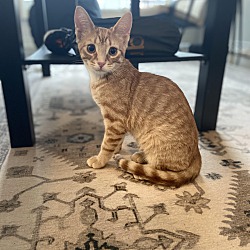 Photo of Buzz