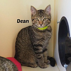 Photo of Dean