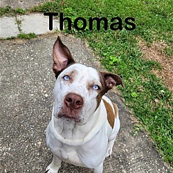 Photo of Thomas