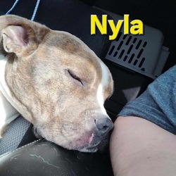 Photo of Nyla