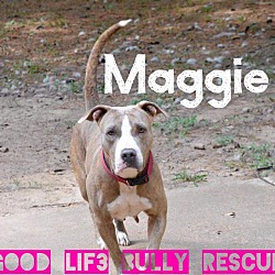 Thumbnail photo of Maggie May #2