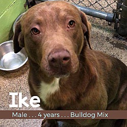 Photo of Ike