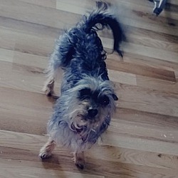 Photo of NeNe