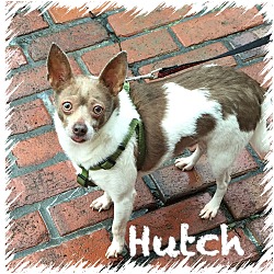 Thumbnail photo of Hutch #1