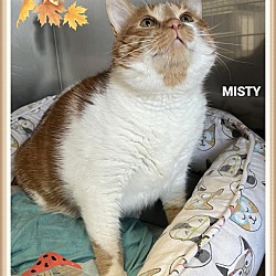 Thumbnail photo of Mitsy (fta) #2